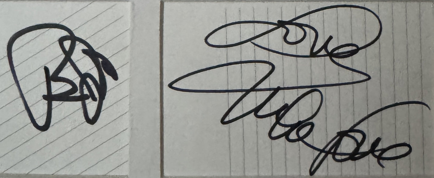 Beach Boys (Mike Love and Bruce Johnston) - Matted Autographs - 8.5x11