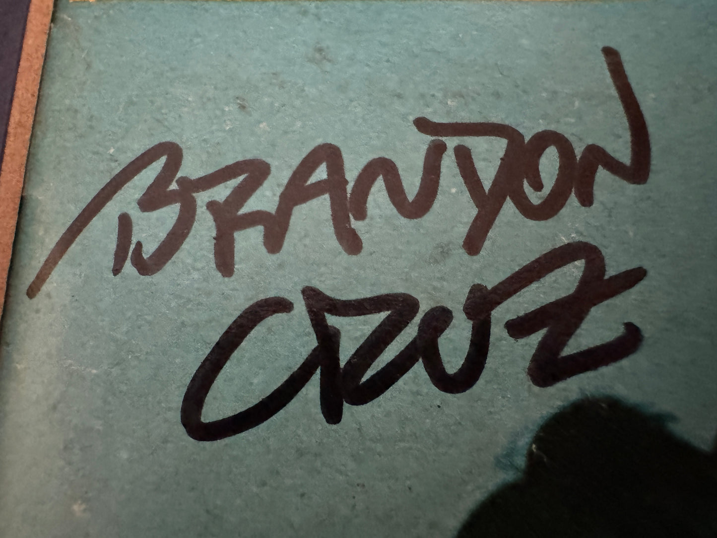 Brandon Cruz - Matted Autograph - 8x10