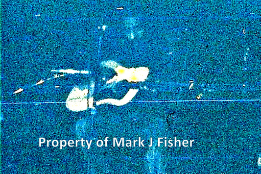 Richie Havens - Matted Photograph - Color