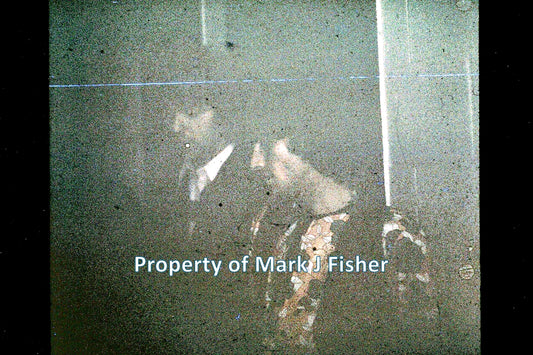 Young Rascals - Matted Photograph - Color